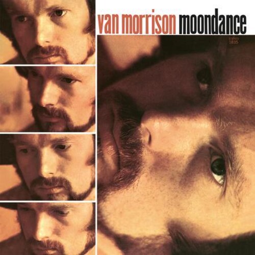 Van Morrison - Moondance