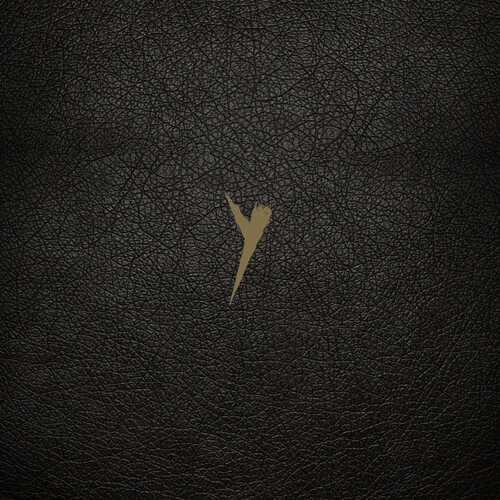 Pop Group - Y (definitive Edition)