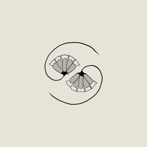 G_d's Pee AT STATE'S END! (Incl. 10")