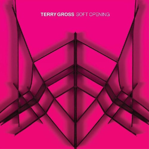 Terry Gross - Soft Opening (Blue) vinyl record cover