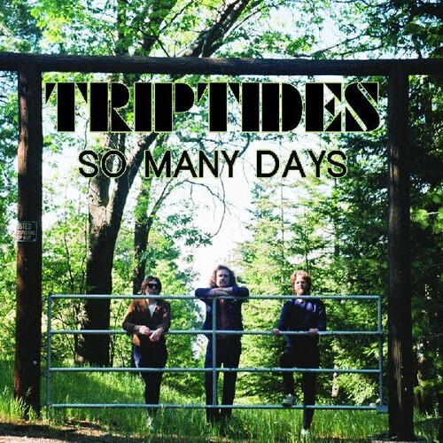 Triptides - So Many Days