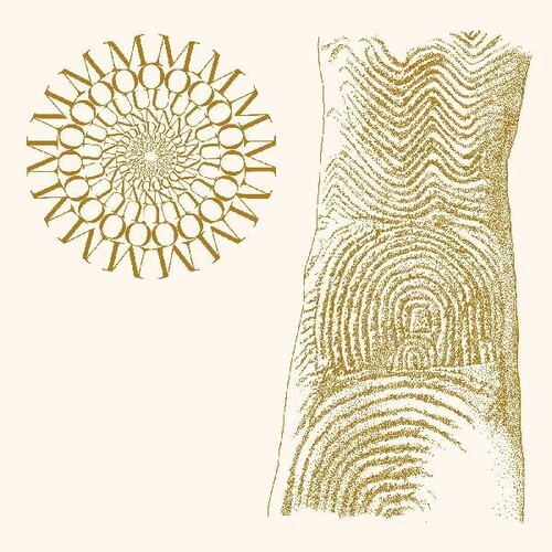 Flowers Rot Bring Me Stones