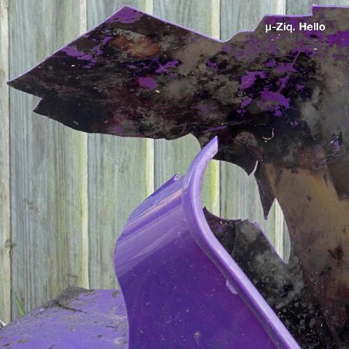 Hello/ goodbye