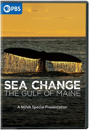 Sea Change: The Gulf Of Maine - A NOVA Special Presentation