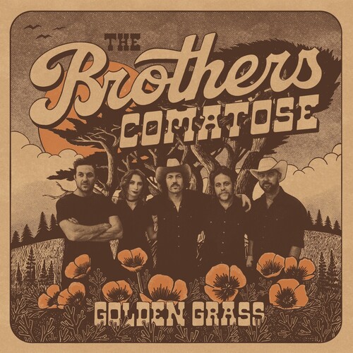 Brothers Comatose - Golden Grass vinyl record cover