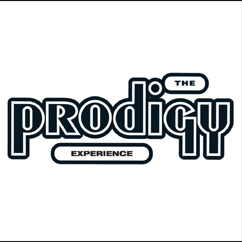 Prodigy - Experience