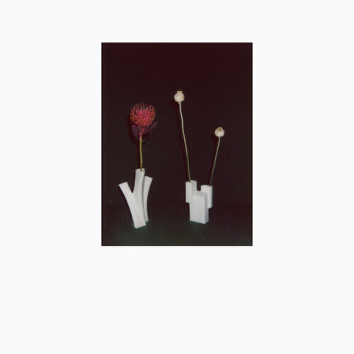 Felicia Atkinson - Flower & Vessel vinyl record cover