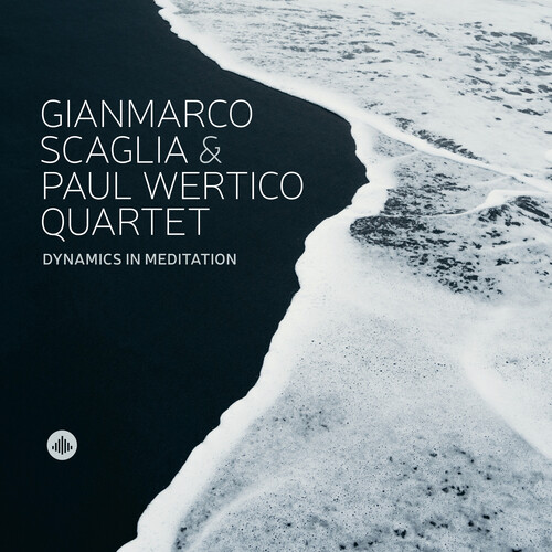 Dynamics in Meditation