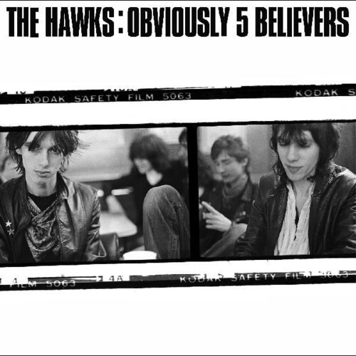 Hawks - Obviously 5 Believe vinyl record cover