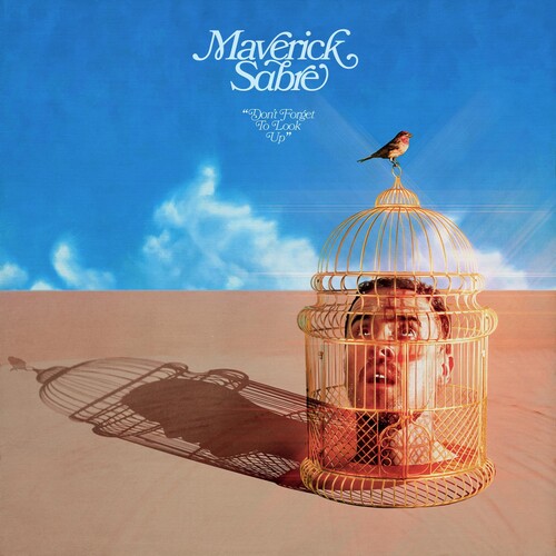 Maverick Sabre - Don't Forget To Look Up vinyl record cover