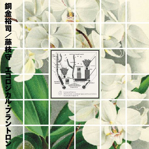 Yuji Dogane  / Fujieda,Mamoru - Ecological Plantron