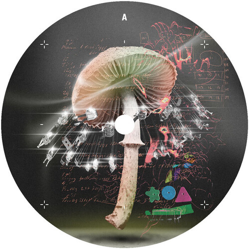 Move 2 The Groove