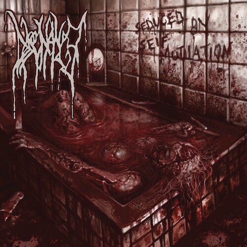 Dissonance - Seduced By Self-Mutilation vinyl record cover