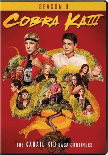 Cobra Kai: Season 3