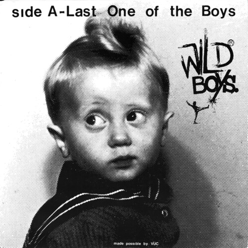 Wild Boys - Last One Of The Boys /  We're Only Monsters