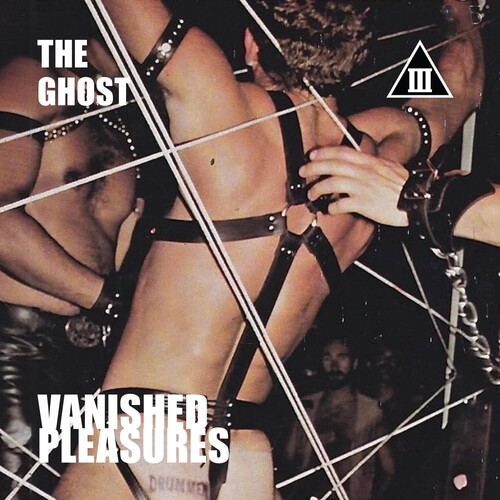 Vanished Pleasures