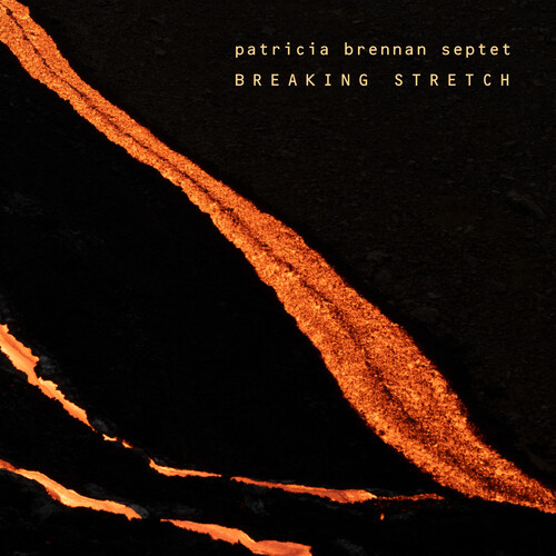 Patricia Brennan - Breaking Stretch vinyl record cover
