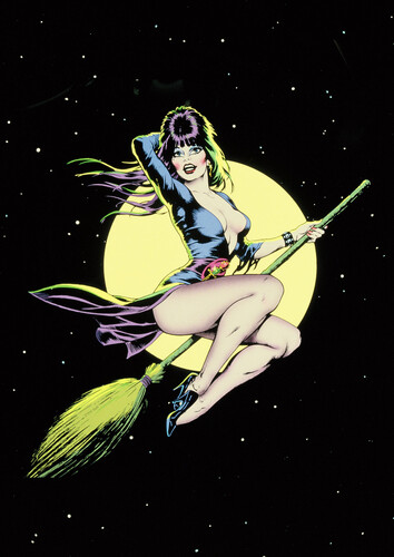 Elvira: Mistress of the Dark - Witch Metal Sign (17x12)