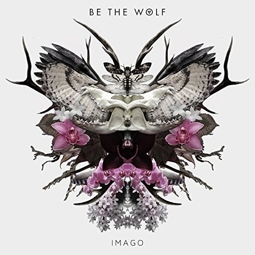 Imago