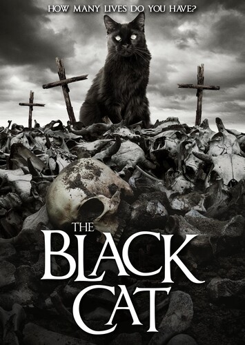 Black Cat - The Black Cat