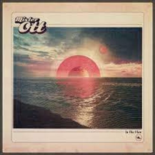 In The Flow [Import]