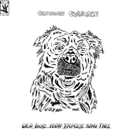 Old Dog New Tricks Who This