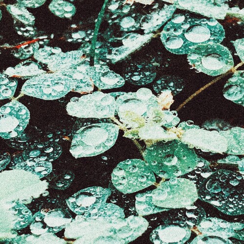 Rain Chamber