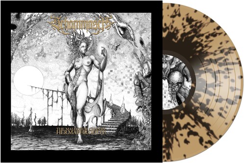 The Maldoror Chants: Hermaphrodite