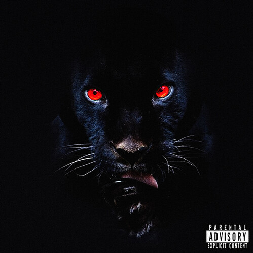 Rj Payne - He's A Fnckin Animal vinyl record cover