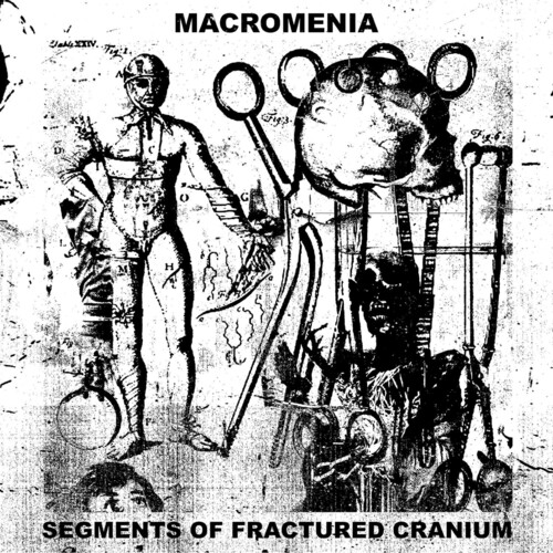 Macromenia - Segments Of Fractured Cranium