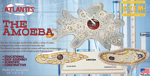 Atlantis - STEM Model Kit - The Amazing Amoeba