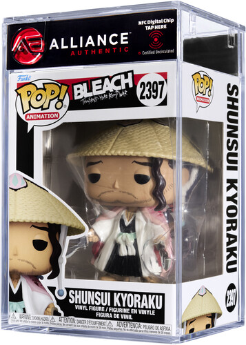 BLEACH THOUSAND-YEAR BLOOD WAR SHUNSUI KYORAKU