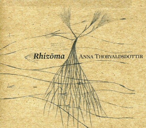 Rhizoma