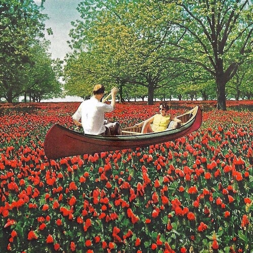 Elder Brother - Stay Inside vinyl record cover