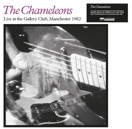 Live at the Gallery Club
