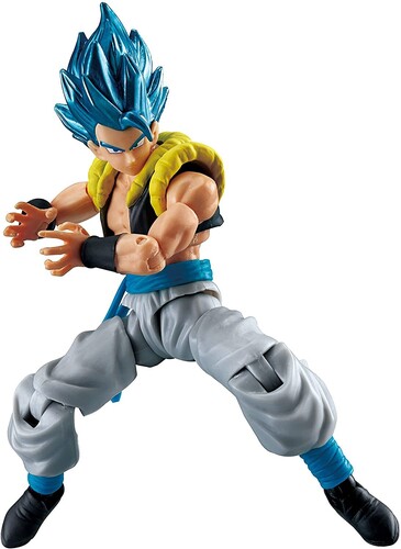 DRAGON BALL EVOLVE 5 SUPER SAIYAN BLUE GOGETA|alliance entertainment