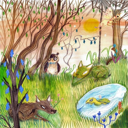 Cavetown - Animal Kingdom vinyl record cover