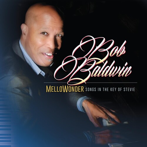 Mellowonder- Songs In The Key Of Stevie