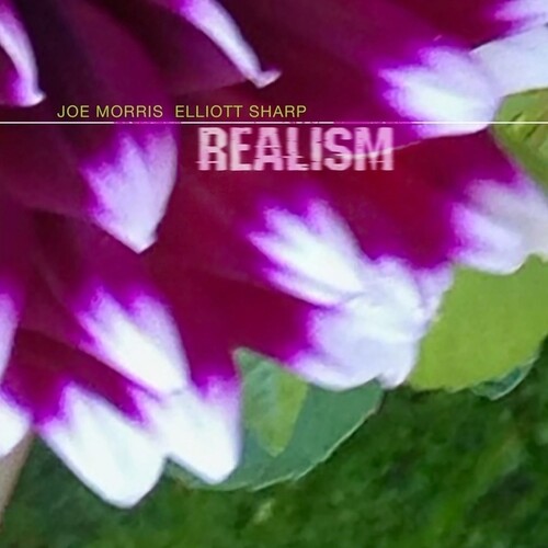 Joe Morris / Sharp,Elliott - Realism vinyl record cover