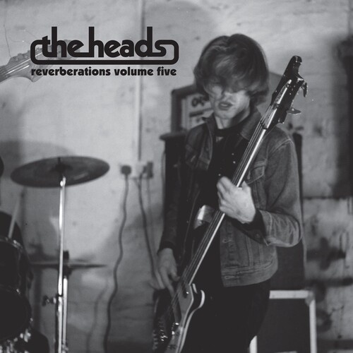 Reverberations Volume 5