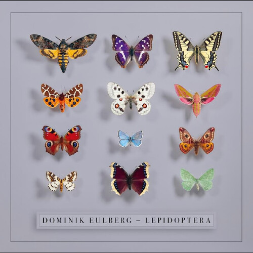 Eulberg, Dominik - Lepidoptera vinyl record cover