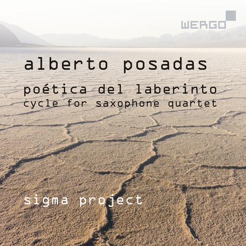 Poetica Del Laberinto
