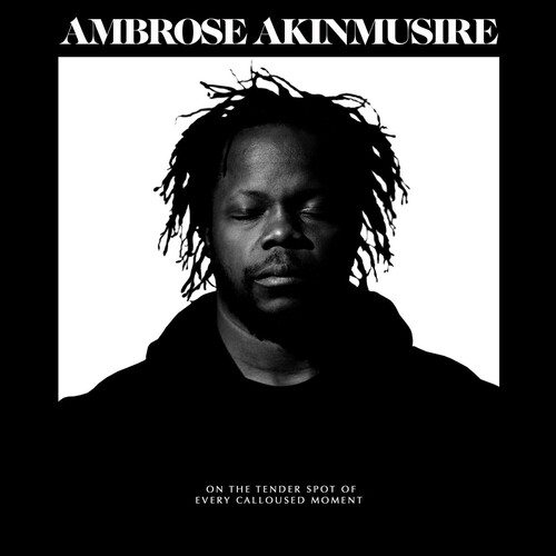 Ambrose Akinmusire - On The Tender Spot Of Every Calloused Moment [LP]