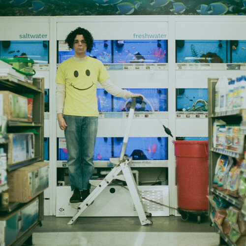 Count the Stairs (Metallic Silver Vinyl)