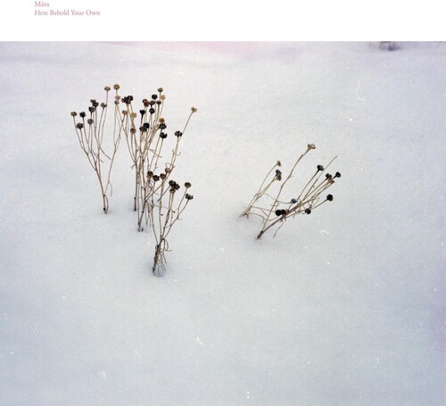 Here Behold Your Own