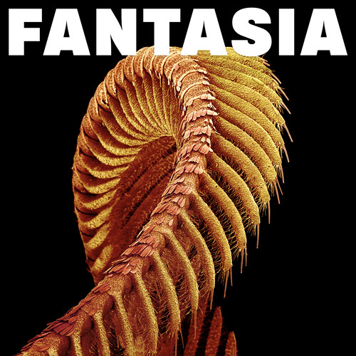 SLIFT - Fantasia - Yellow [Colored Vinyl] (Ylw)