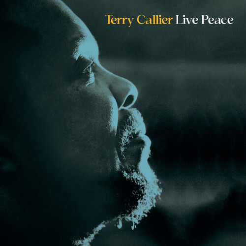 Terry Callier - Live Peace
