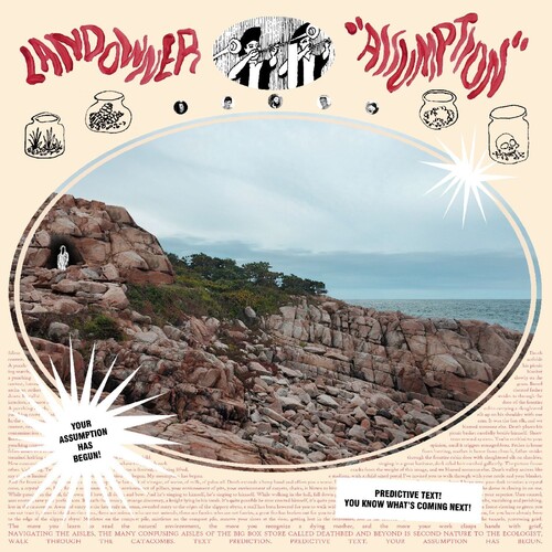 Landowner - Assumption - Electric Smoke vinyl record cover