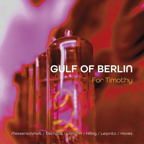 Gulf Of Berlin - For Timothy vinyl record cover