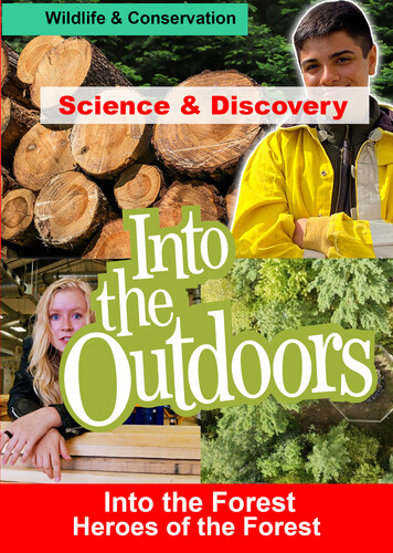 Into the Forest - Heroes of the Forest